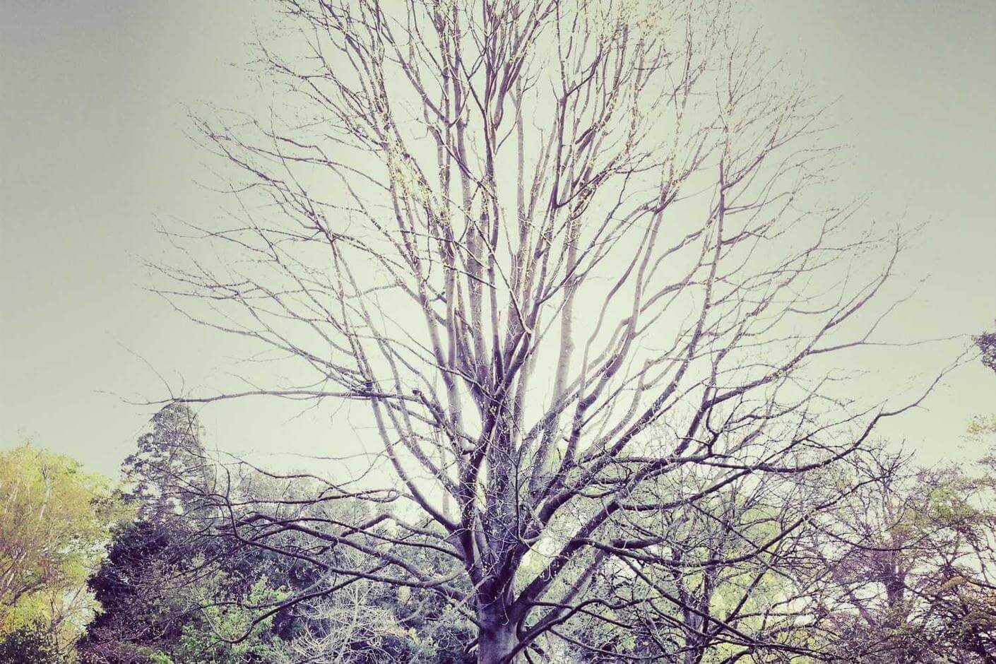 Consequatur odio laudantium officia