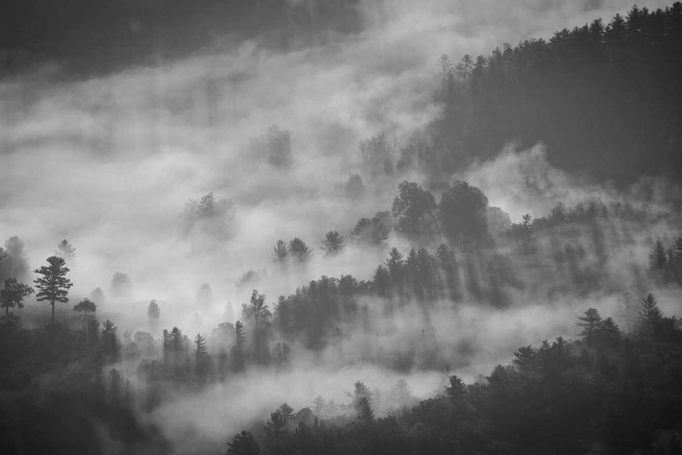 Minus ut excepturi molestiae eveniet deleniti